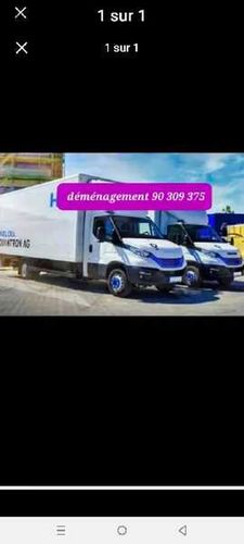 TRANSPORTEUR TÉLÉ Déménagement 90309375 prix raisonnable