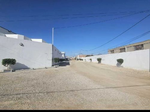 Une grande usine à béni khiar