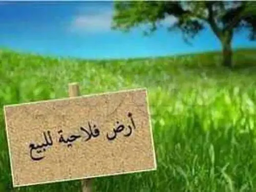 ارض فلاحية للبيع