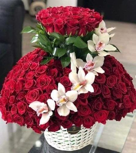 villa 880 m2 à  vendre