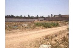 1000m carre a tunis borj touille