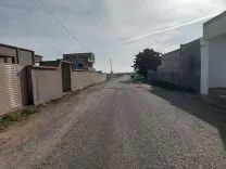 un terrain 1 klm de la plage à dar allouche kélibia