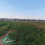 Terrain agricole 5966 m² à Menzel temim