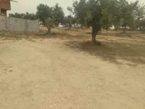 Vente lots de terrain à Soliman