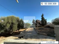 🏡 Terrain à vendre – Sidi Mansour Km 7 📍Situé à seulement 50 m de la route principale
