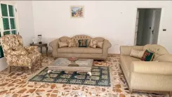 sallon style classique elegant