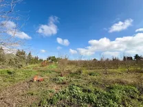 Senya 12 500 m² à Tazarka Nabeul