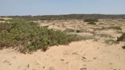 قطعة الأرض للبيع 5 هكتارات موقع أول على البحر سيدي دواد الهوارية