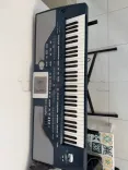 korg pa800