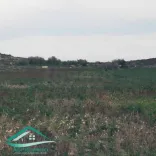 Terrain agricole 5966 m² à Menzel temim