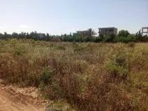 Terrain a vendre à Kerkouane Kelibia Nabeul