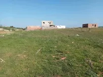 un terrain 1 klm de la plage à dar allouche kélibia