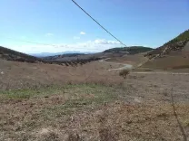 أرض فلاحية تبعد علي مرناق 16 كلمتر فيها ماء و ضوء 4000 متر مربع 92386462