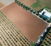 Plusieurs Lots de terrain de 1000m situés à sidi thabet