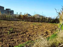 🏖️Terrain 500 m² Rafraf plage – Aïn Mestir 🌊