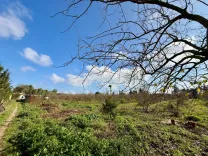 Senya 12 500 m² à Tazarka Nabeul