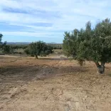 فرصصة للبيع 600م قريب من ياسمين الحمامات 99958728