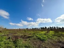 Senya 12 500 m² à Tazarka Nabeul