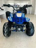 Quad 125cc carte grise