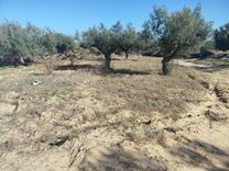 أرض للبيع في موقع استراتيجي، منطقة الرميلة شط مريم