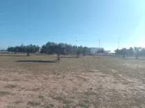 Terrain première position sfax  rte gabes