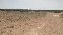 قطعة الأرض للبيع 5 هكتارات موقع أول على البحر سيدي دواد الهوارية