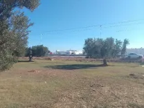 Terrain première position sfax  rte gabes