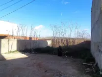 Terrain 260m2 à Mnihla