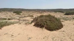 قطعة الأرض للبيع 5 هكتارات موقع أول على البحر سيدي دواد الهوارية