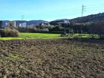 🏖️Terrain 500 m² Rafraf plage – Aïn Mestir 🌊