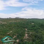 Terrain agricole 5966 m² à Menzel temim