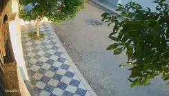 maison a vendre kalaa kebira  sousse