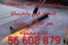 عزل الاسطح و الارضيات 56608879