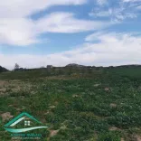 Terrain agricole 5966 m² à Menzel temim