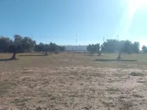 Terrain première position sfax  rte gabes