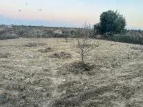 أرض ممتازة في ألوردانين