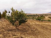 À Vendre Ferme à Bir Bouregba de 4.1 hectares