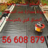 عزل الاسطح و الارضيات 56608879