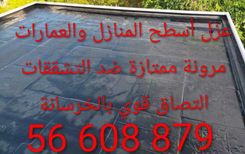 عزل الاسطح و الارضيات 56608879