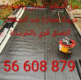 عزل الاسطح و الارضيات 56608879
