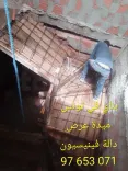 مقاول بناء97653071