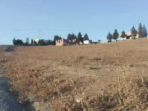 أرض فلاحية تبعد علي مرناق 16 كلمتر فيها ماء و ضوء 4000 متر مربع 92386462