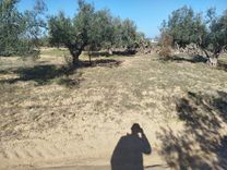 أرض للبيع في موقع استراتيجي، منطقة الرميلة شط مريم