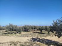 أرض للبيع في موقع استراتيجي، منطقة الرميلة شط مريم