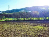 🏖️Terrain 500 m² Rafraf plage – Aïn Mestir 🌊