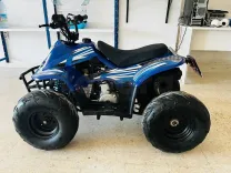 Quad 125cc carte grise
