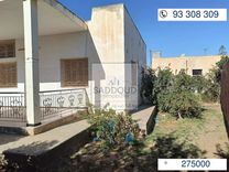 Maison à route el Ain km7.5, 50m de la route principale