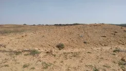 قطعة الأرض للبيع 5 هكتارات موقع أول على البحر سيدي دواد الهوارية