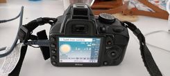 Nikon D3100
