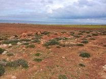 قطعة الأرض للبيع 500م² موقع أول على البحر غرمان الهوارية